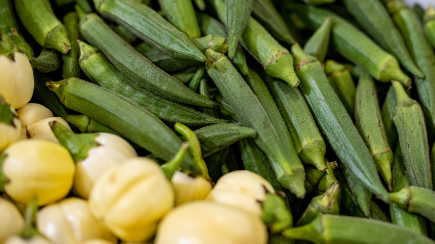    Фото: dpa/picture-alliance/ТАСС