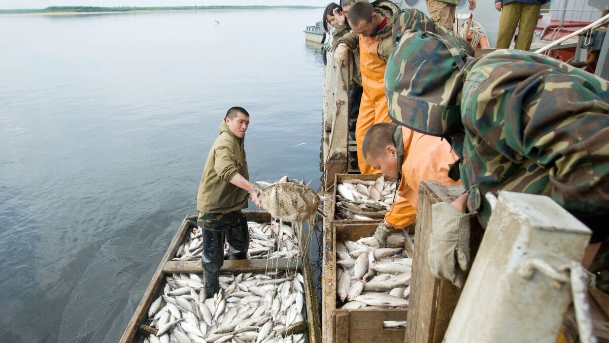    Фото: пресс-служба губернатора ЯНАО