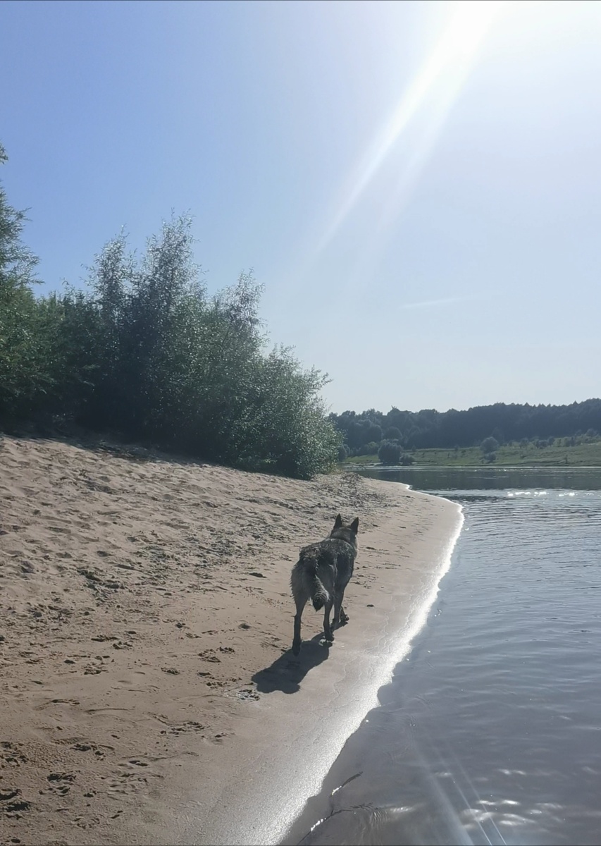 Белый и тёплый песочек и рядом никого. 