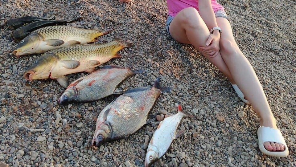     Источник: Улов25