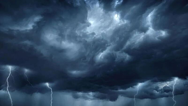    Фото: Triff/Shutterstock/Fotodom