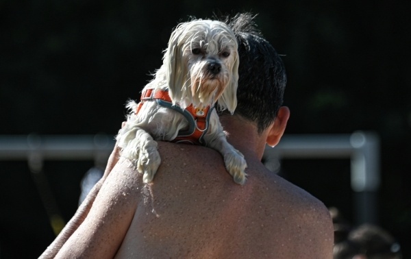 Фото: РИА Новости/Максим Блинов