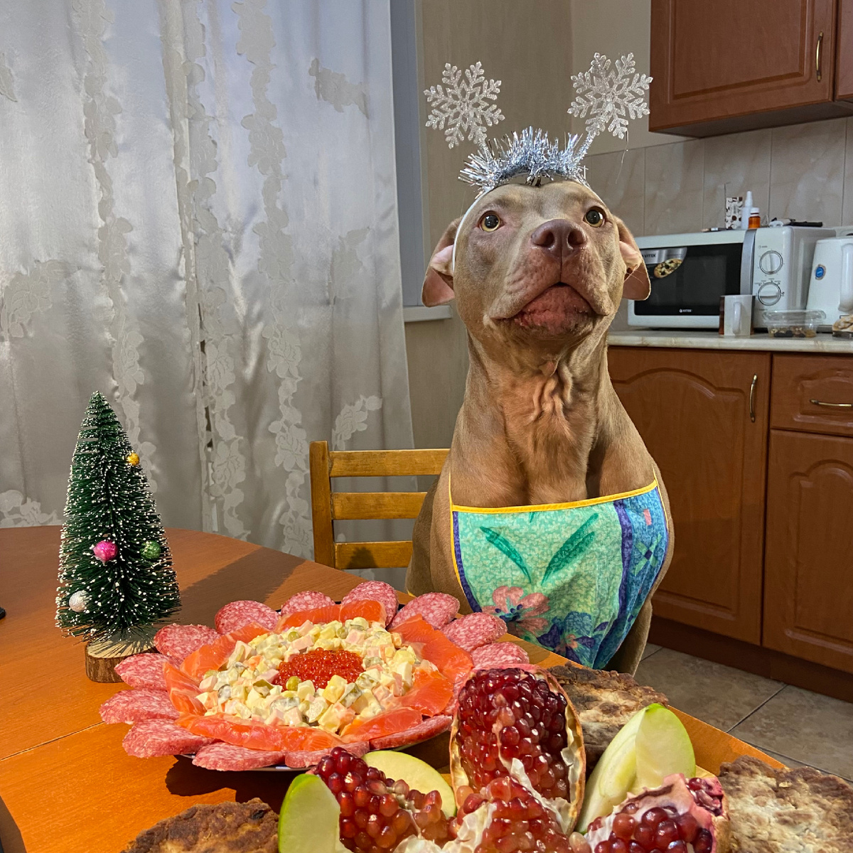 Джина накрыла мне новогодний стол 