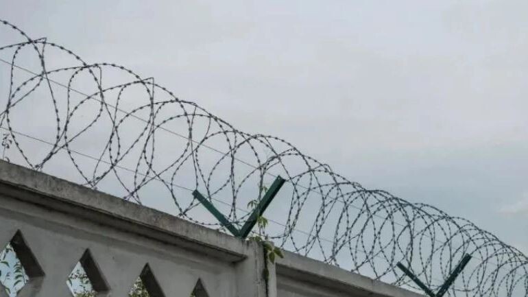    Фото: Stepan17/Shutterstock/Fotodom