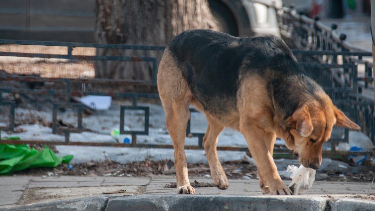 Фото: Svetlana Vozmilova/globallookpress.com