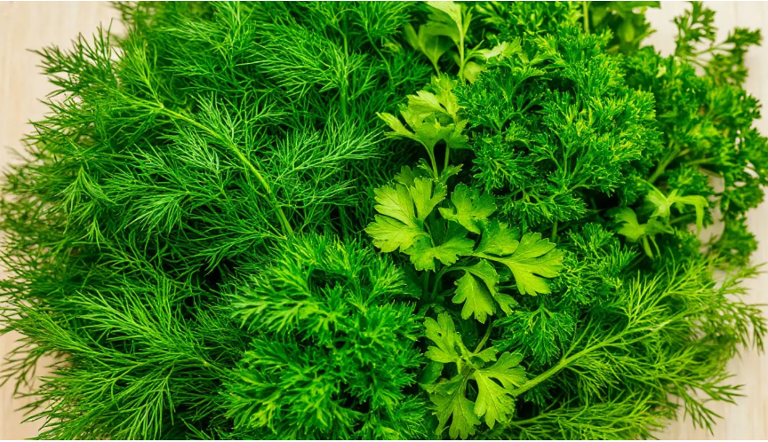 10 СПОСОБОВ ЗАМОРОЗИТЬ ЗЕЛЕНЬ НА ЗИМУ – ВЫБИРАЙТЕ ЛЮБОЙ! 🌿🌿🌿🌿🌿
