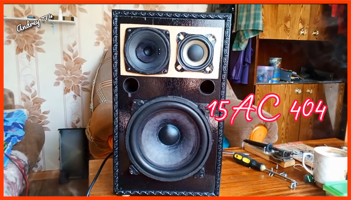 Мои переделанные колонки Вега 15АС 4.