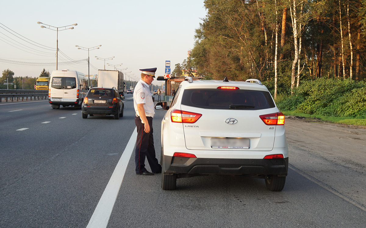 источник: яндекс дзен