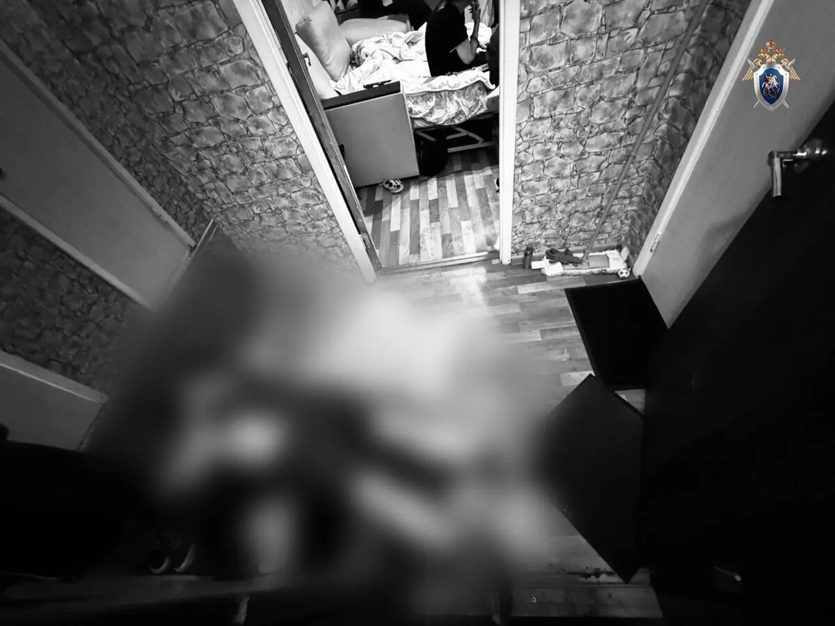    Фото: пресс-служба ГСУ СК России по Петербургу