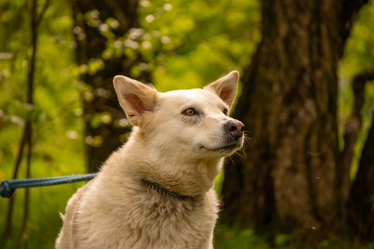 Я вообще не понимаю, зачем спорить и ругаться