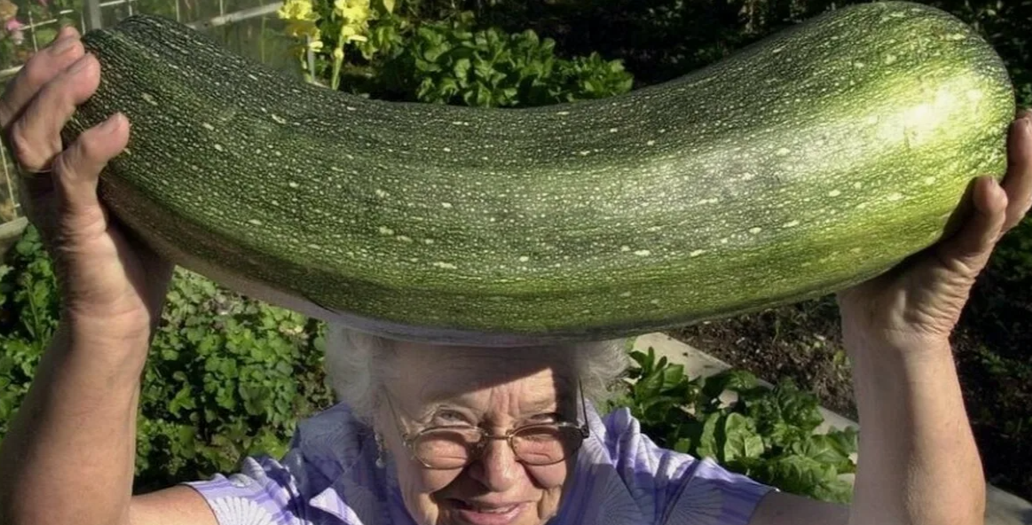 большой Кабачок