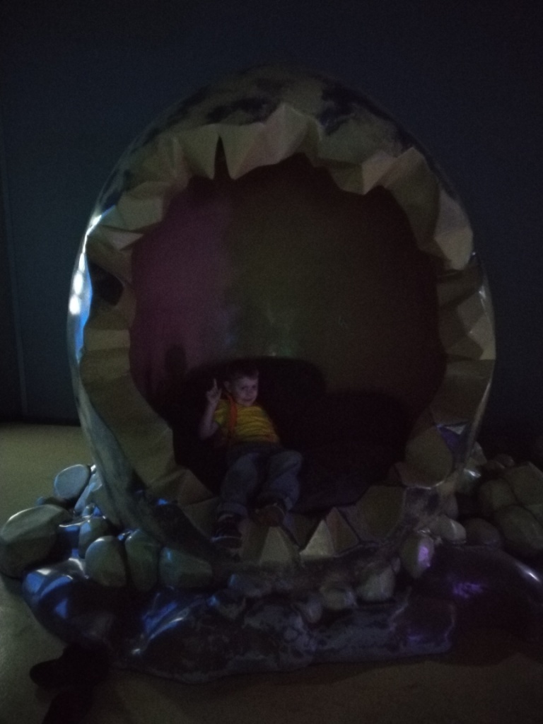 Вот такие темные фото получались в океанариуме в некоторых фотозонах