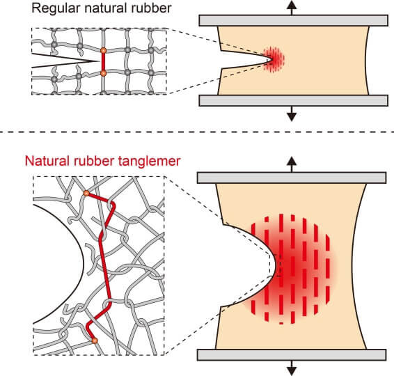 Благодаря этому в структуре каучука сохранились длинные полимерные цепочки, напоминающие спутанные нити спагетти. 