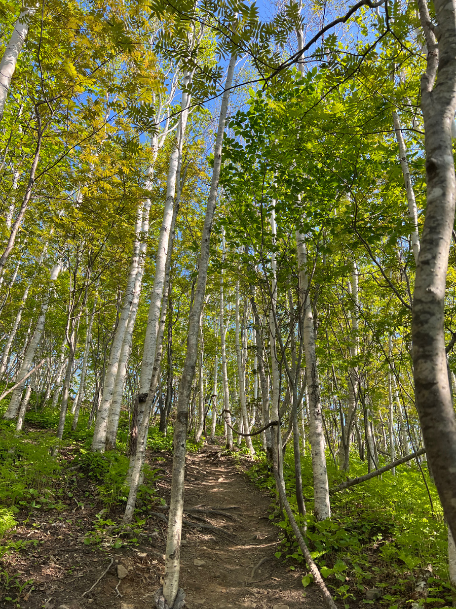 Или такой вариант восхождения 