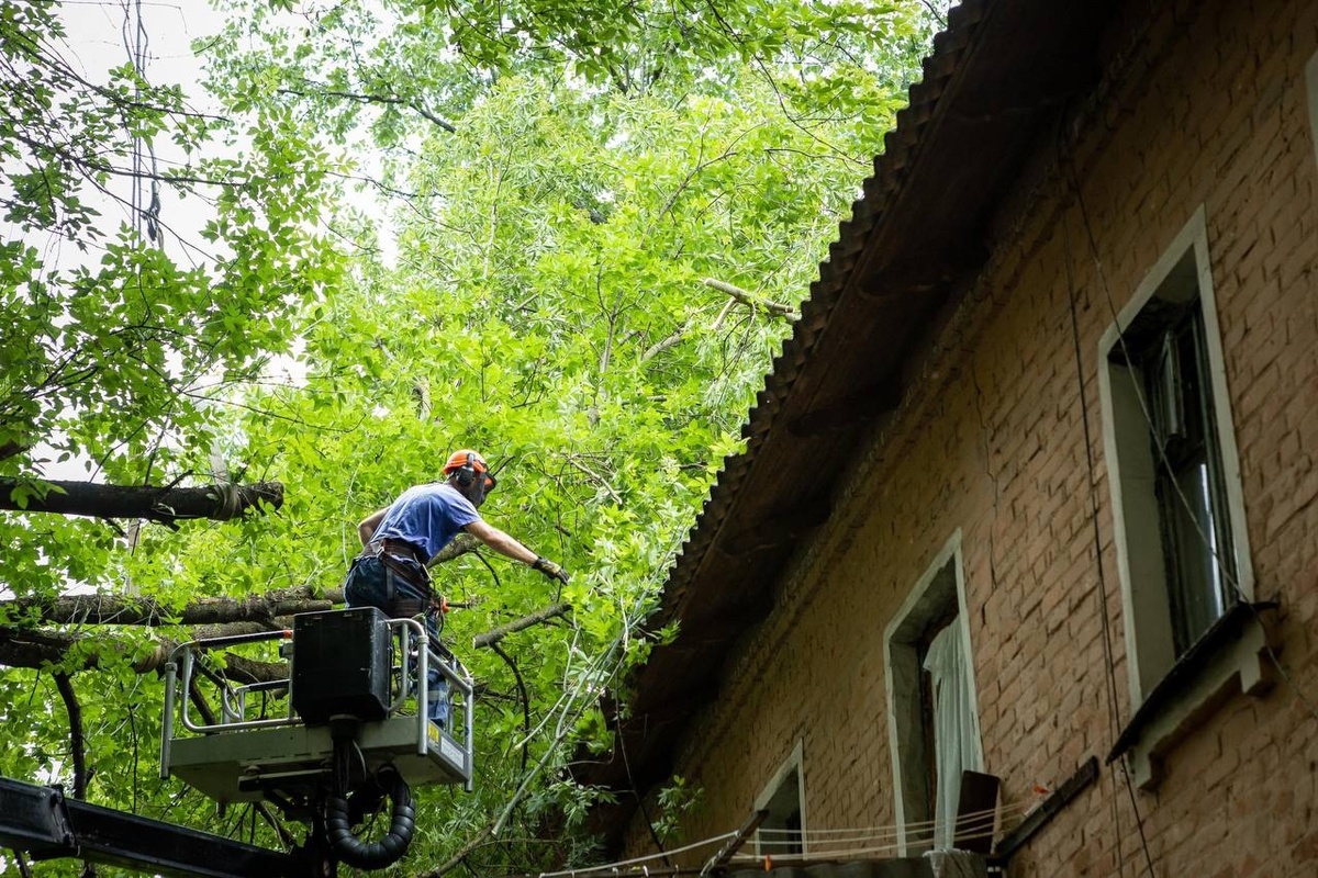    В Курске из-за сильного ветра дерево упало на дом
