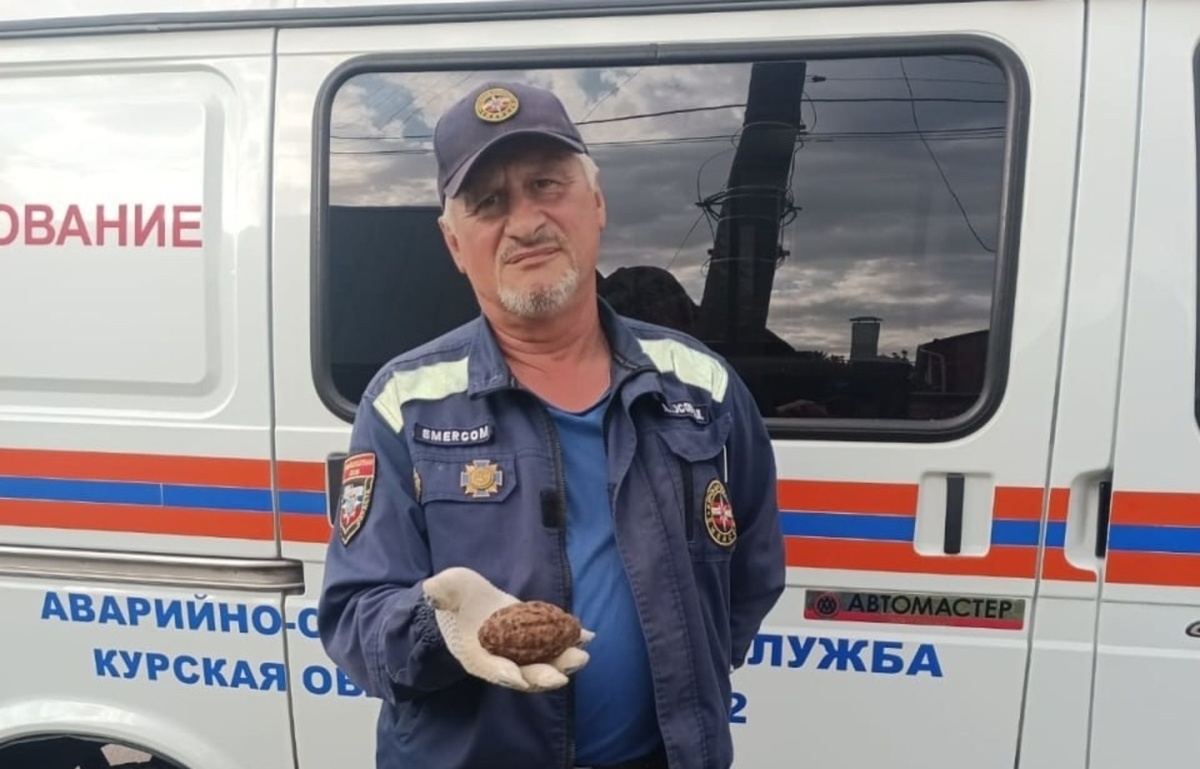    Эхо войны: в Курске нашли гранату времён Великой Отечественной