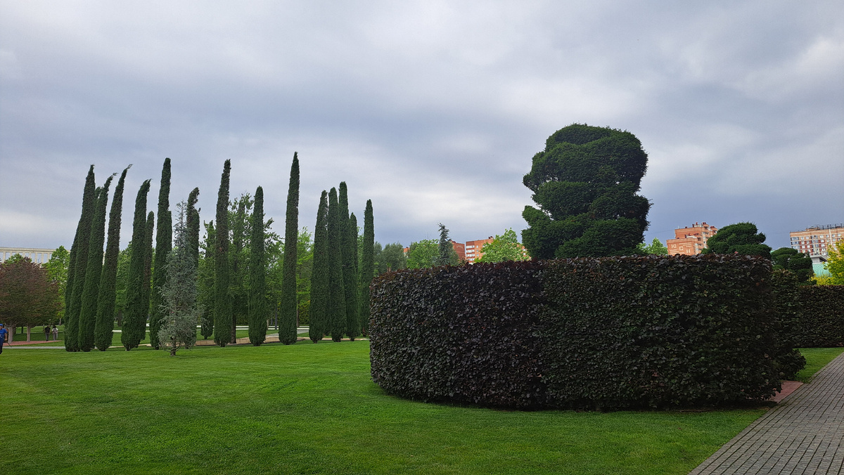 Парк Галицкого 