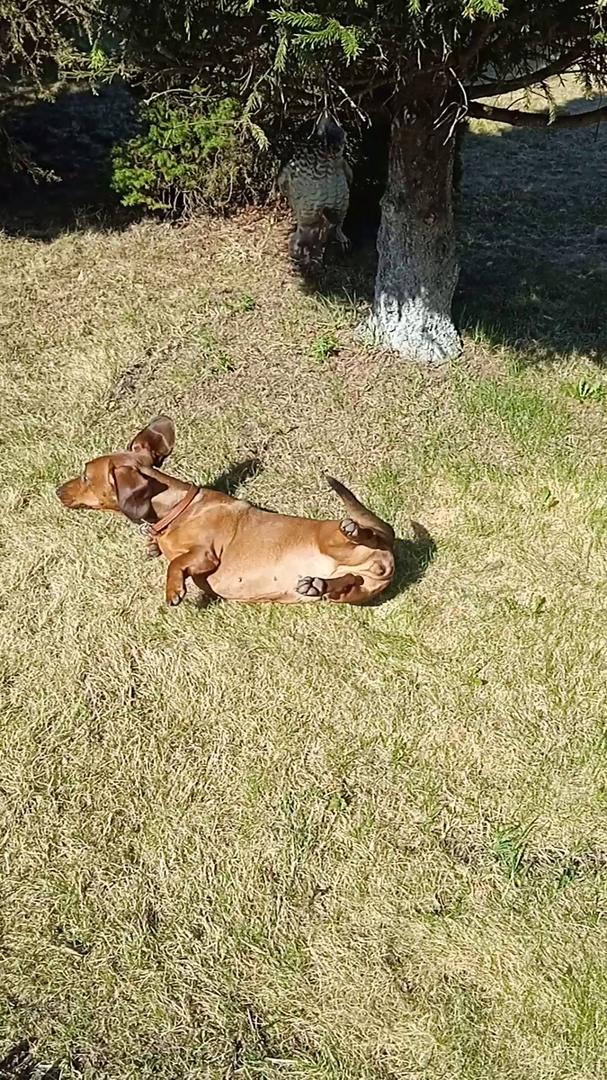 Я очень серьезно отношусь к своей работе