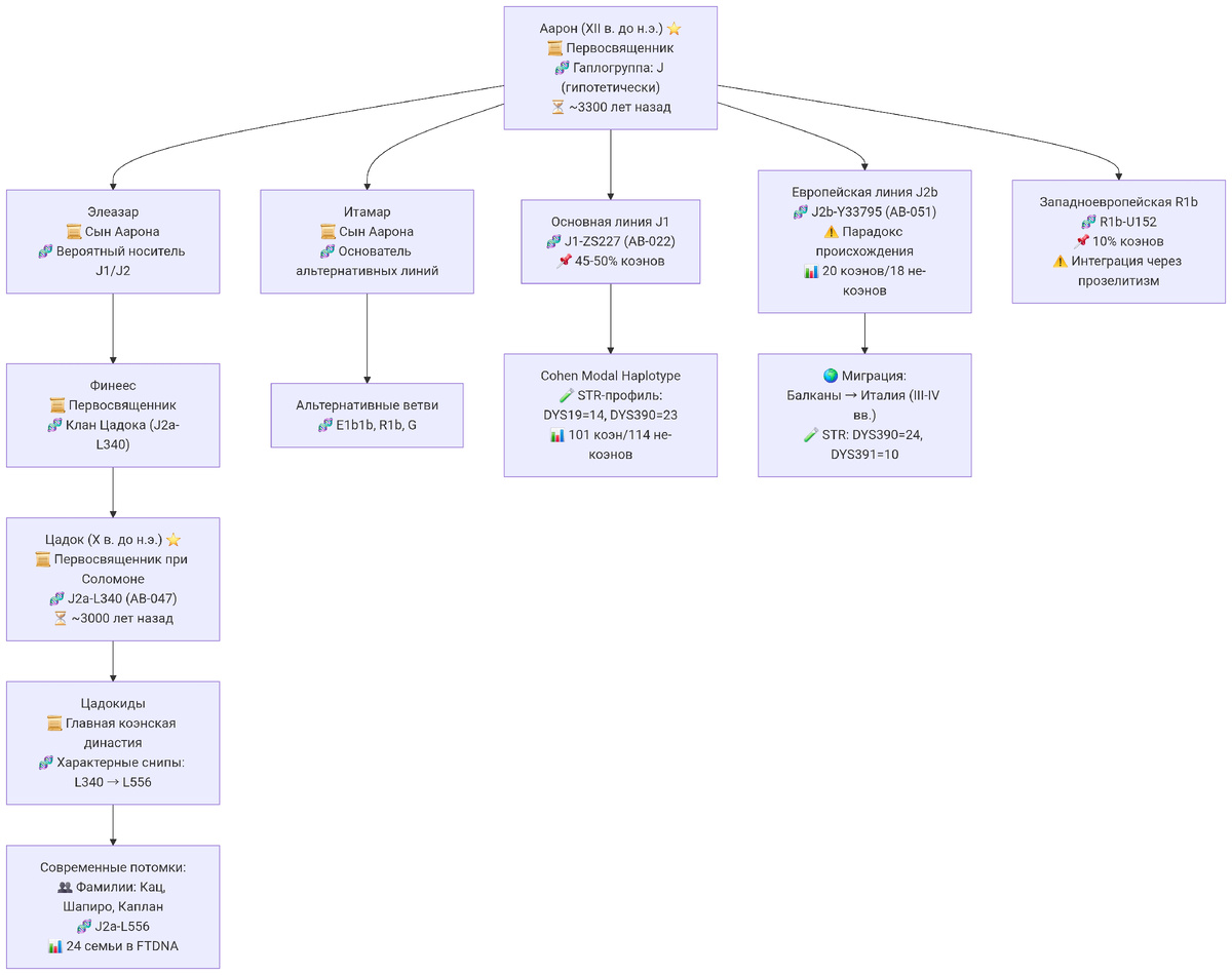 Возможное древо сообщества Аарона 
