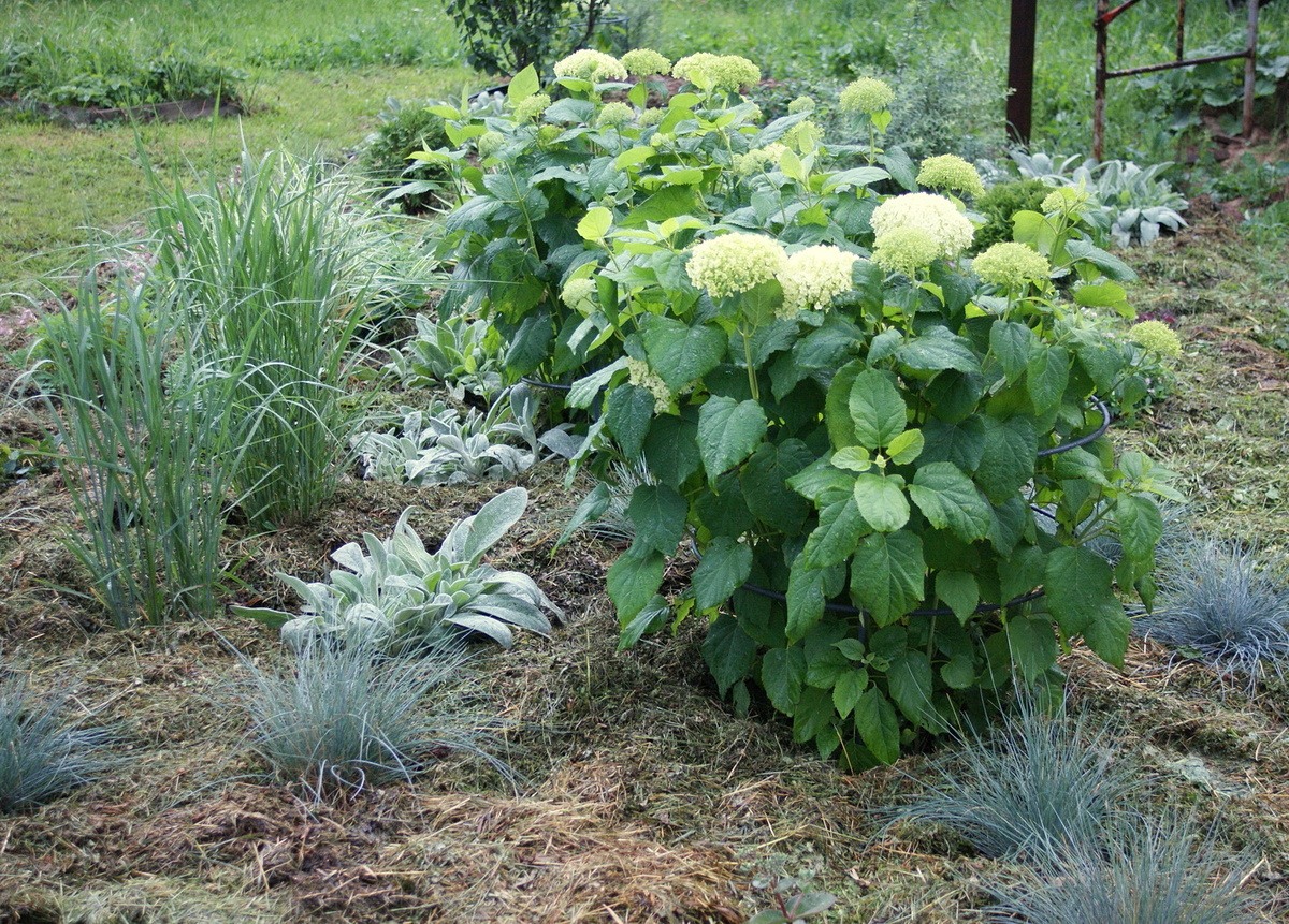 После дождя фотографии получились насыщенные и тёмные. 