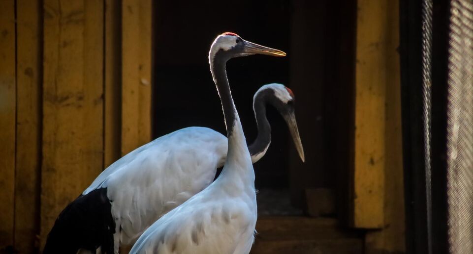    Elena Mayorova/Global Look Press / www.globallookpress.com