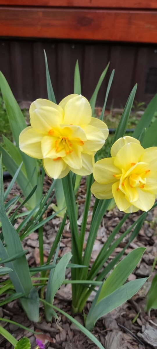 Еженедельный астропрогноз 14 – 20 июля 2025 года