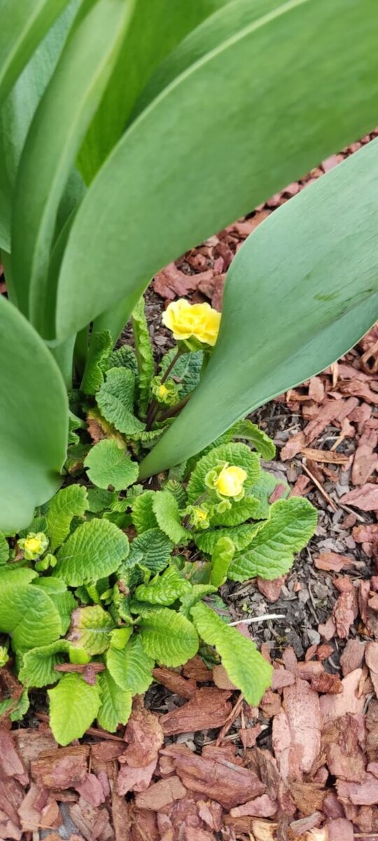 Еженедельный астропрогноз 21 – 27 июля 2025 года