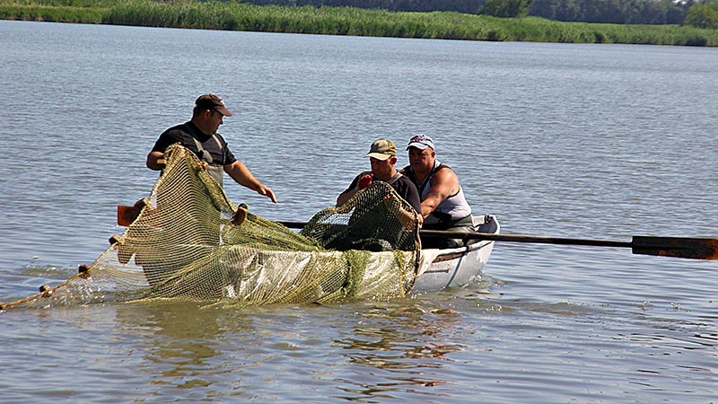    Для рыбака пруд - что для пахаря поле