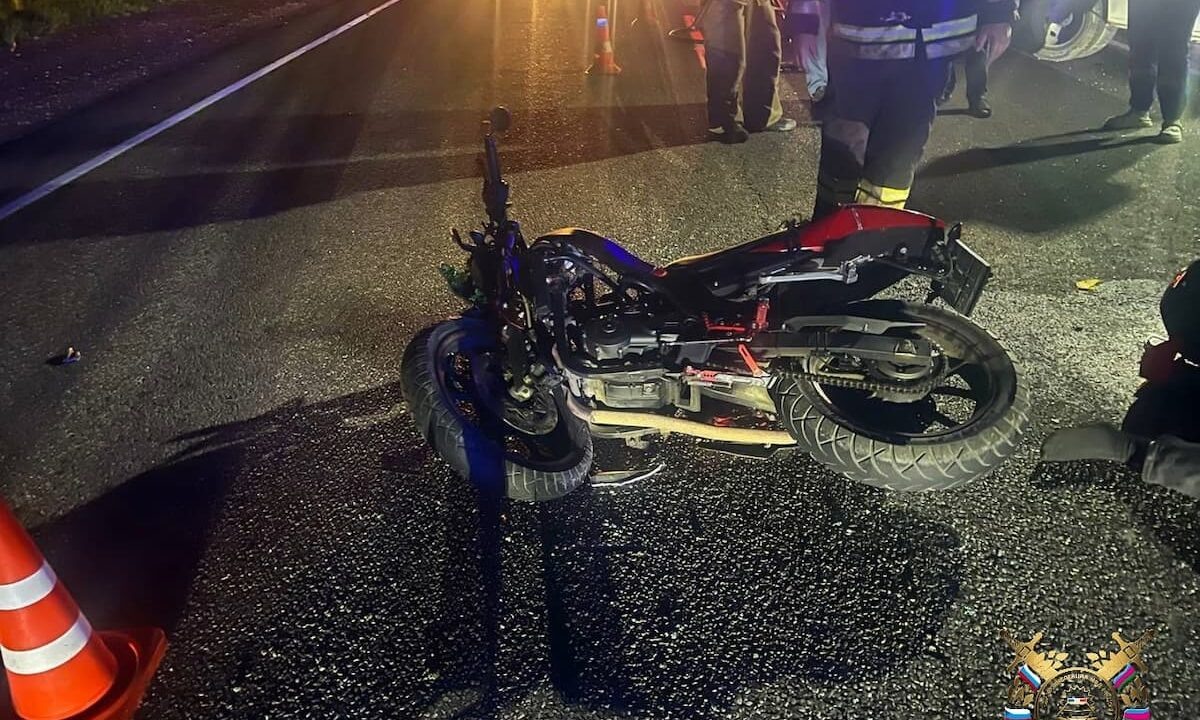    Скриншот видео t.me/gibdd123region