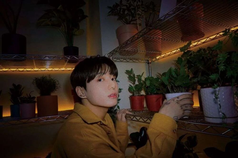 фото из соц.сети