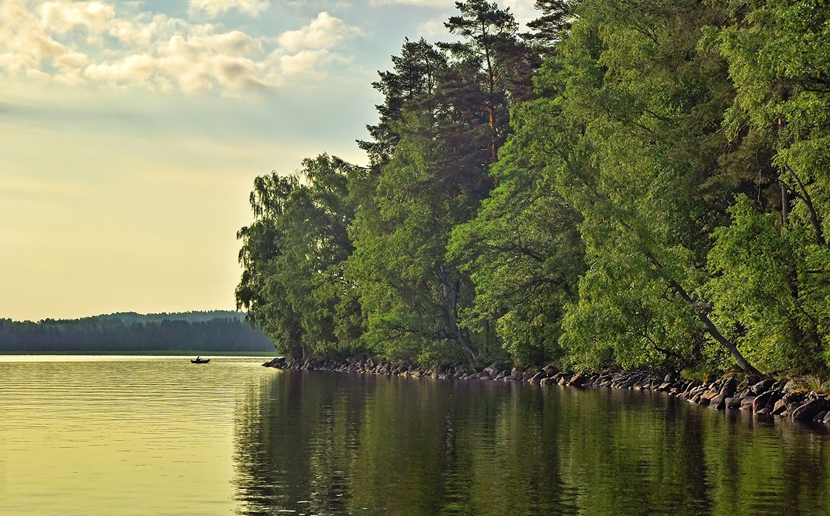 Источник: https://gotonature.ru/452-rybalka-na-ozere-otradnoe.html