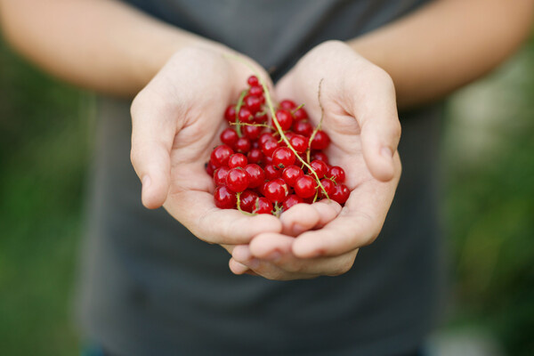 KDdesign_photo_video/Shutterstock/FOTODOM   📷