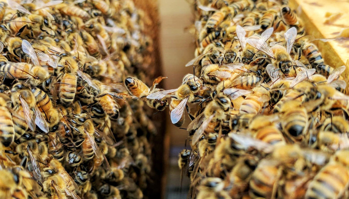 фото просто так...