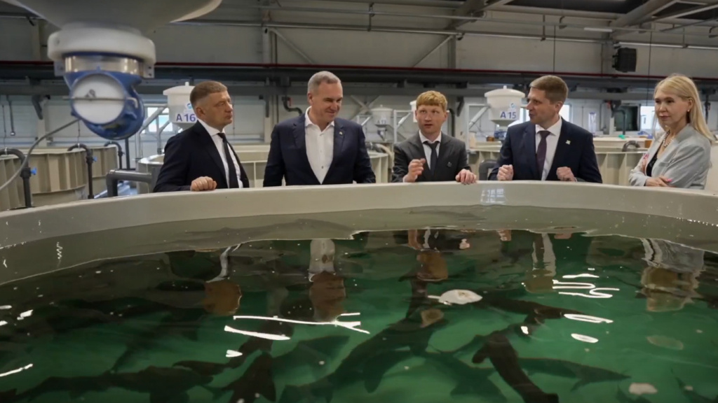    В Югре у некоторых рыб есть личный паспорт, а другие ещё личинками становятся иностранцами