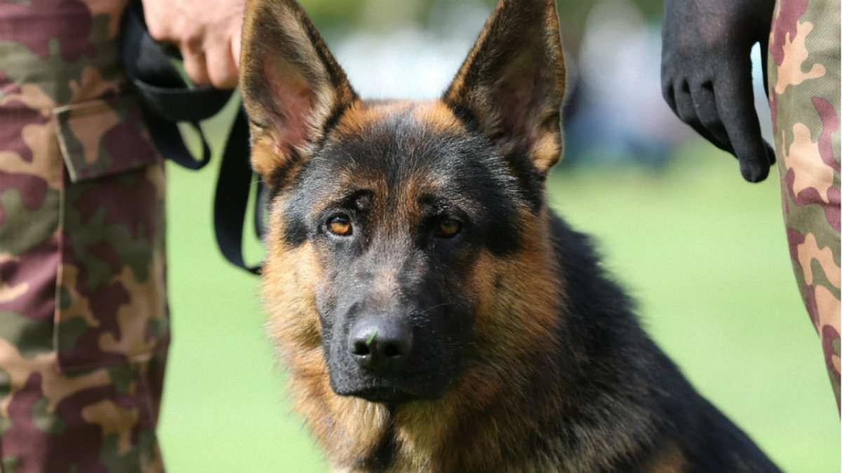 Фото с inbusiness.kz для примера