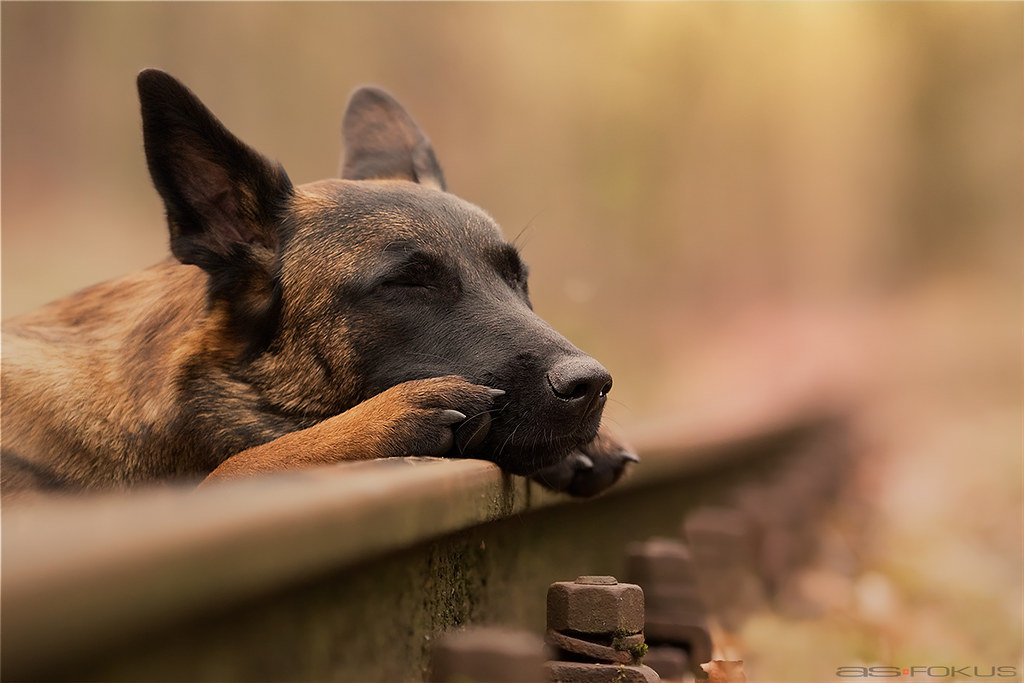 Фото с flickr.com для примера