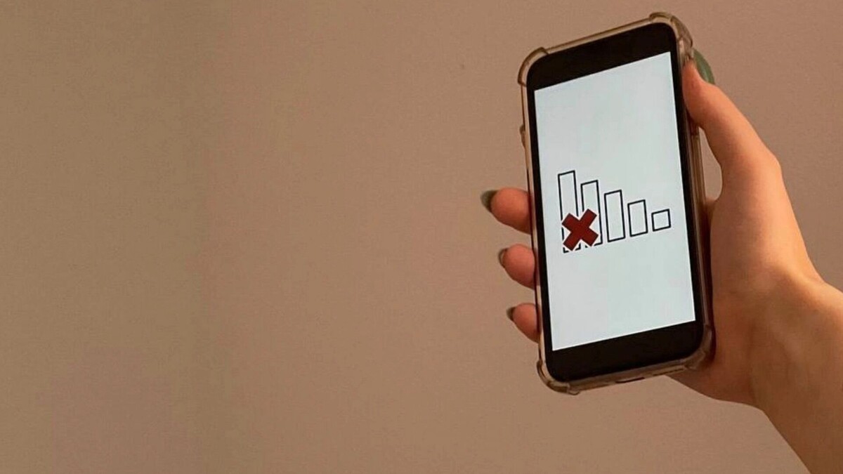     Источник: prmira.ru