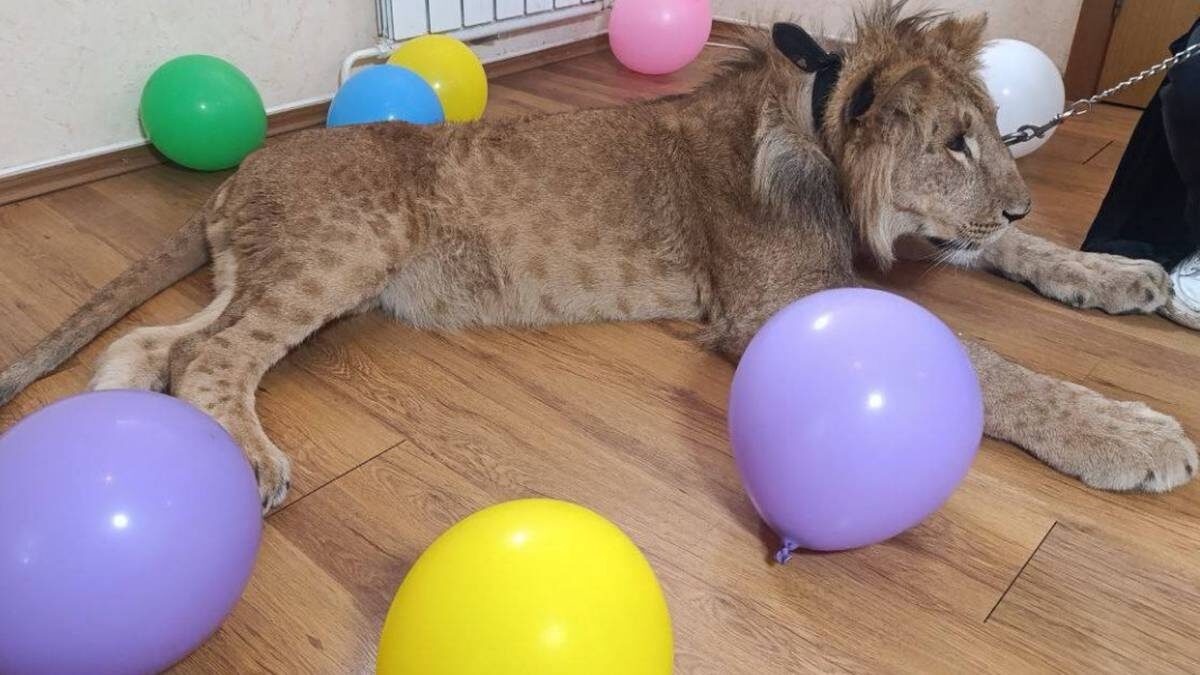    Фото: прокуратура Москвы