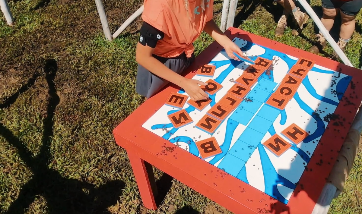 Зачем Екатерина Шкуро и Ирина Пинчук потратили все деньги из общего банка?