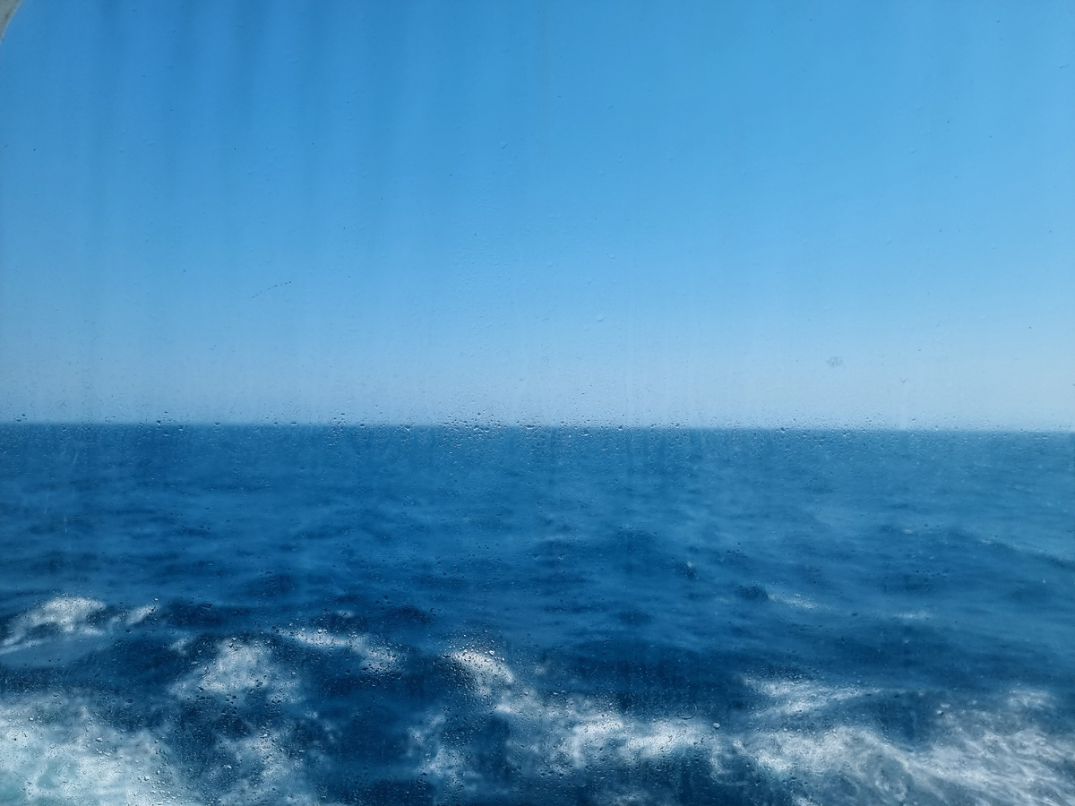 Что на картинке?