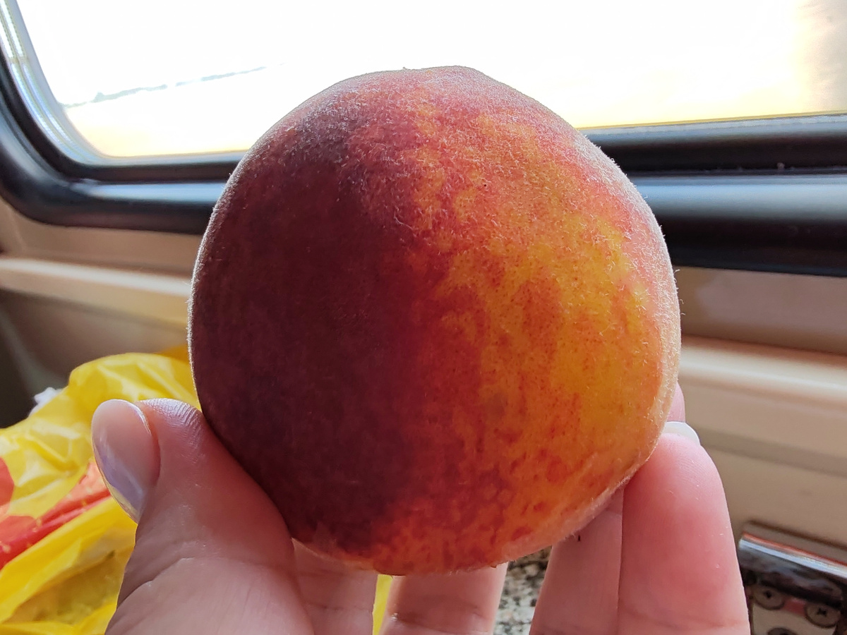 Фото автора канала. 