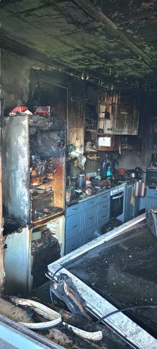    Кошки и собаки погибли на пожаре в поселке Вилга Прионежского районаГоскомитет Карелии по безопасности