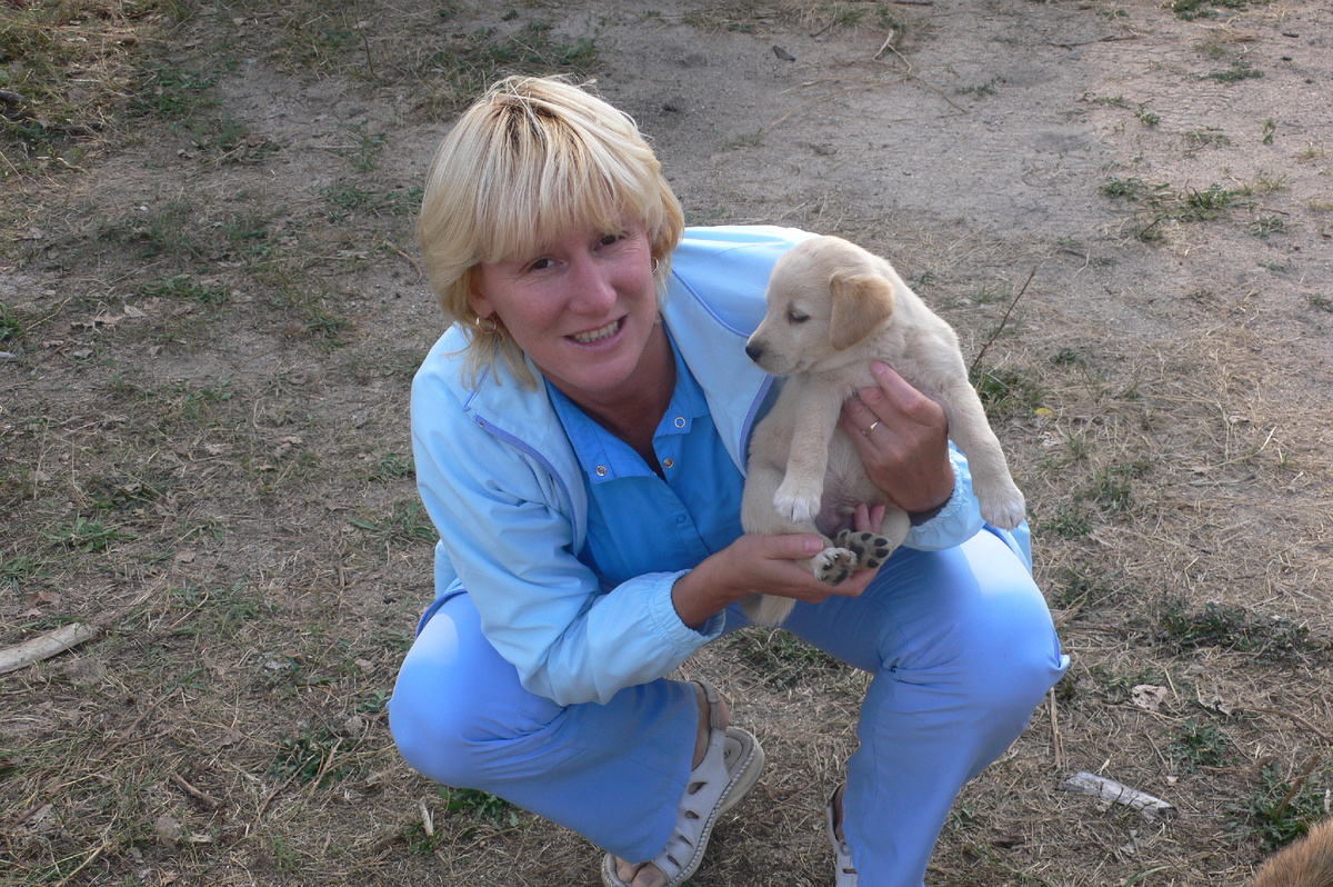 Со щенком на парковке