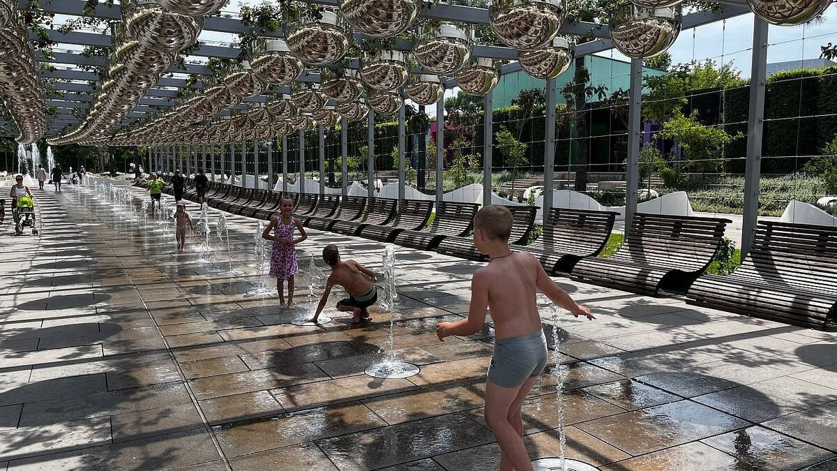    Фото: телеканал «Краснодар»