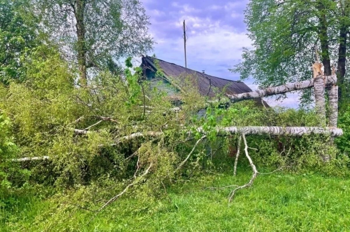    Последствия шторма устраняют в Псковской, Тверской и Новгородской областях
