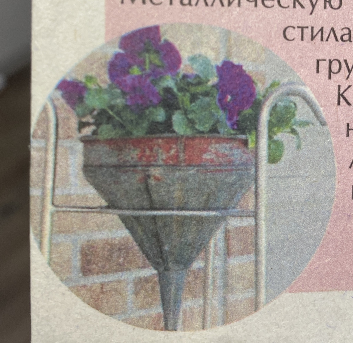 Извиняйте за качество - в журнале сфотографировала. Купила его из-за большой статьи про пионы. Есть у меня три персонажа, у которых смысл жизни - не цвести любой ценой🤦‍♀️