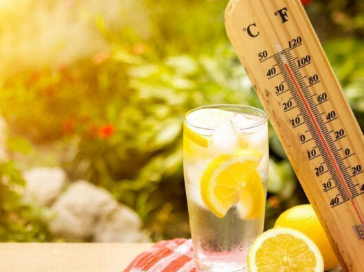    жара //Фото: tvkrasnodar.ru/