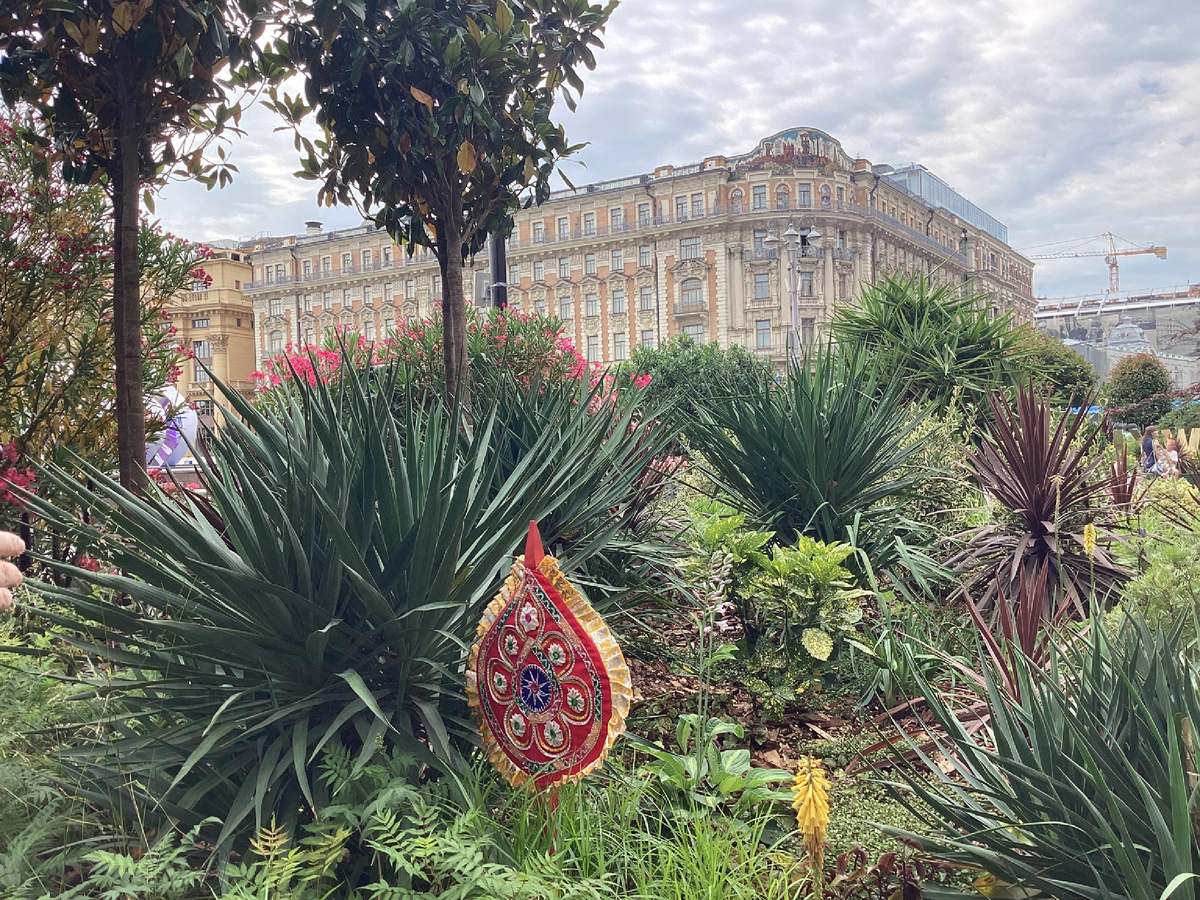 Фото автора.