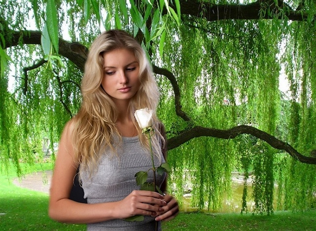 картинка из интернета