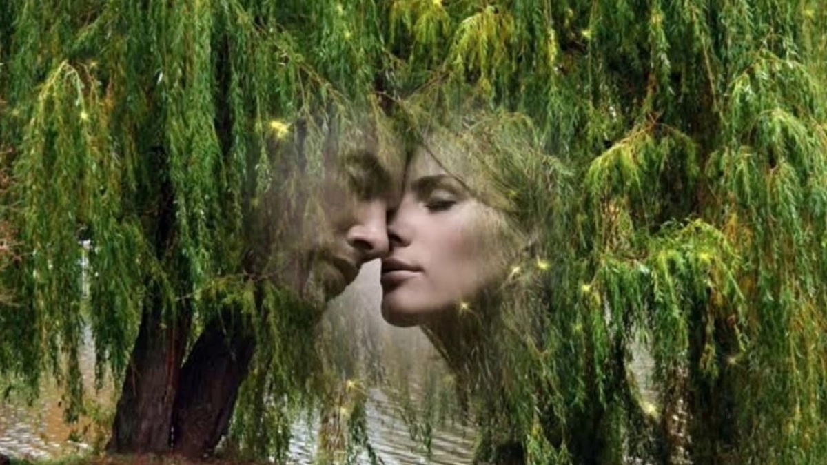 картинка из интернета